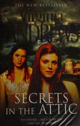 Portada de Secrets in the attic