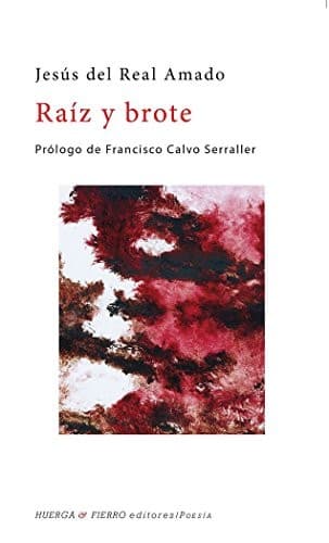 Portada de RAÍZ Y BROTE