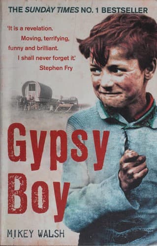 Portada de Gypsy boy