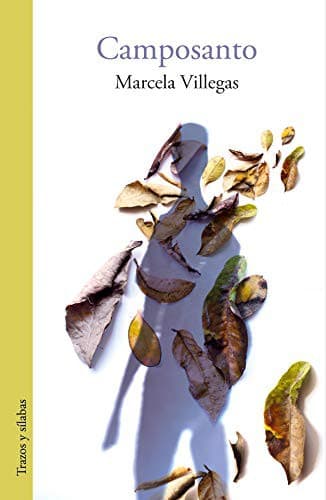 Portada de CAMPOSANTO