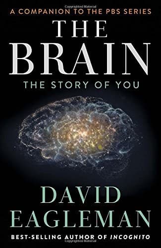 Portada de The Brain