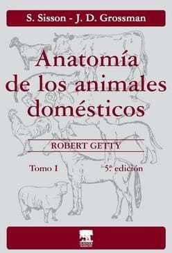 Portada de Anatomia de Los Animales Domesticos