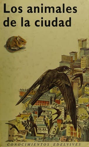 Portada de Conocimientos - Los Animales de La Ciudad
