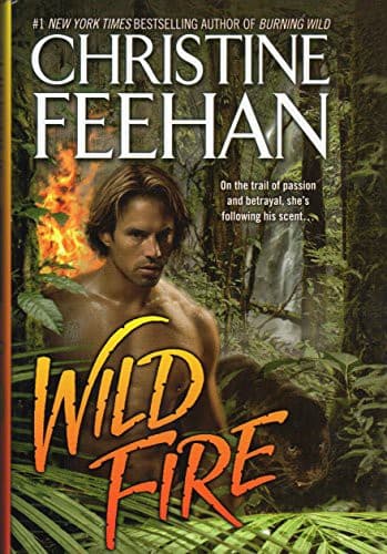 Portada de Wild fire
