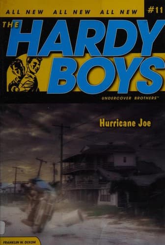 Portada de Hurricane Joe