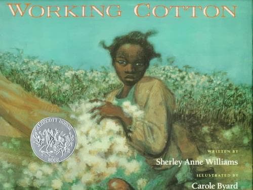 Portada de Working cotton