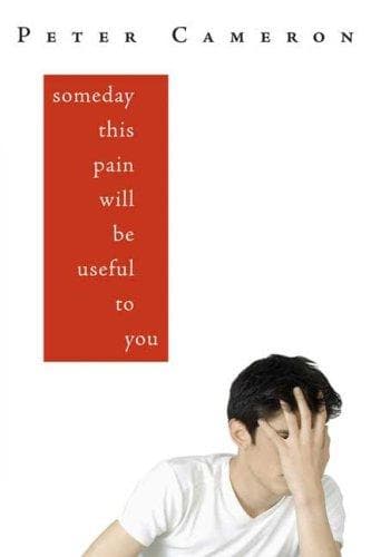 Portada de Someday This Pain Will Be Useful to You