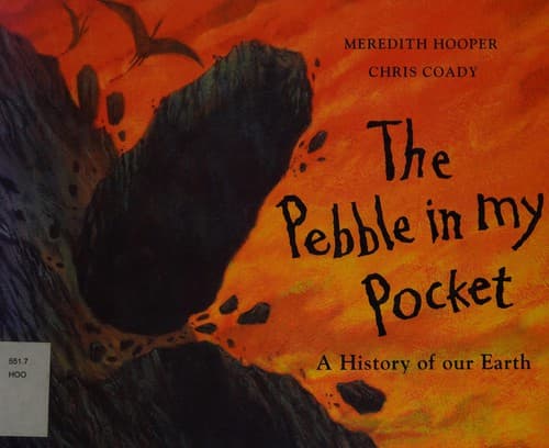 Portada de The pebble in my pocket