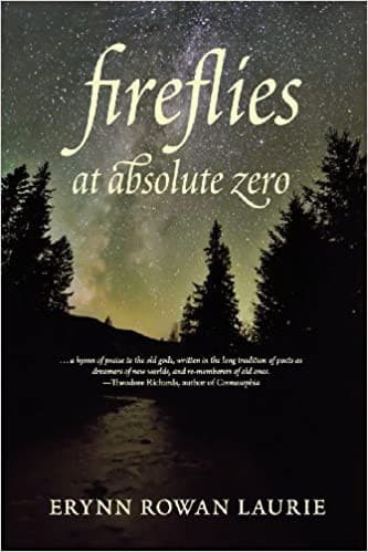Portada de Fireflies at Absolute Zero