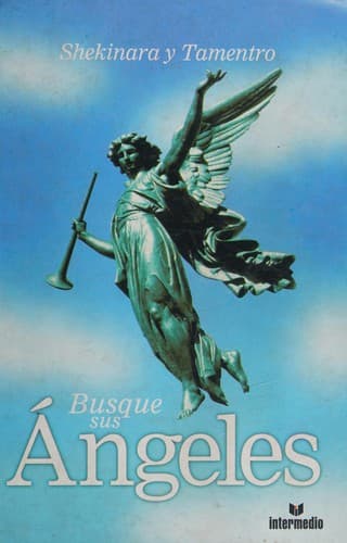 Portada de Busque sus ángeles