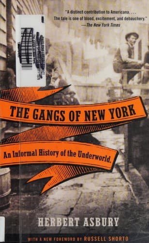 Portada de The gangs of New York