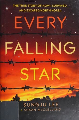 Portada de Every falling star