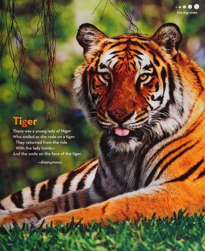Portada de National Geographic book of animal poetry