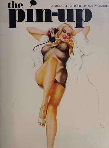 Portada de The pin-up