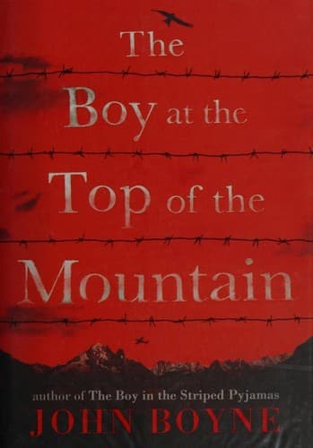 Portada de The boy at the top of the mountain