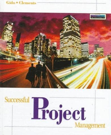 Portada de Successful project management