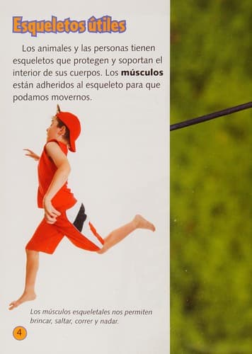 Portada de Esqueletos y Exoesqueletos (Skeletons and Exoskeletons)