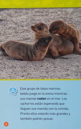 Portada de ¡Sígueme!