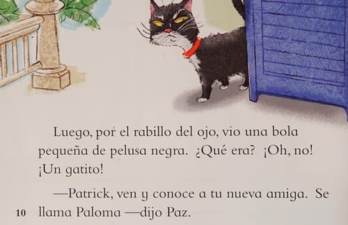 Portada de Patrick y Paloma
