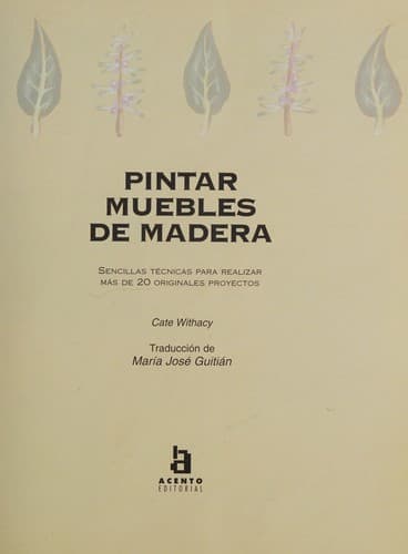 Portada de Pintar muebles de madera
