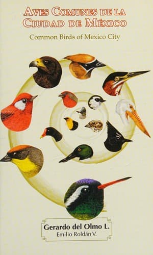 Portada de Aves comunes de la ciudad de México
