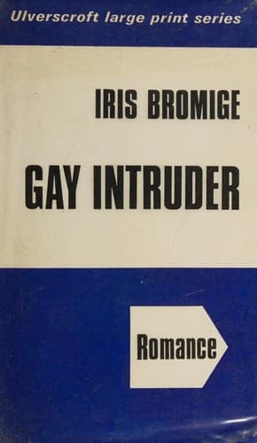 Portada de Gay Intruder