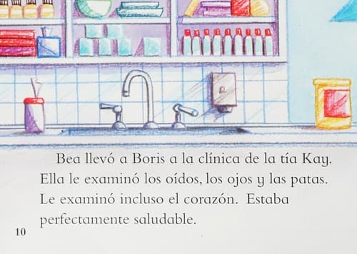 Portada de Boris y Bea