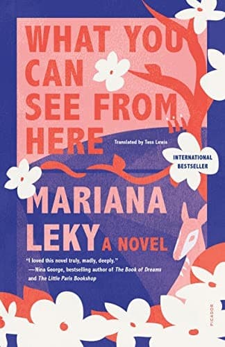 Portada de What You Can See from Here