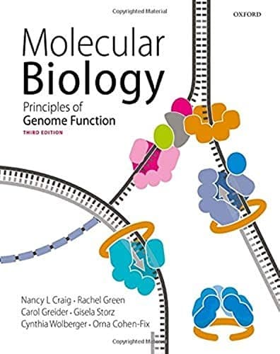 Portada de Molecular Biology