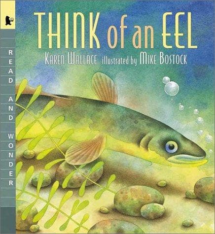Portada de Think of an Eel
