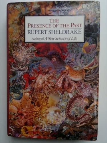 Portada de The presence of the past