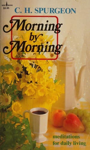 Portada de Morning by morning