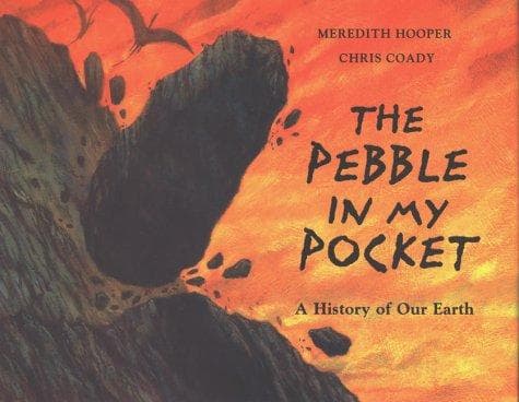 Portada de The pebble in my pocket