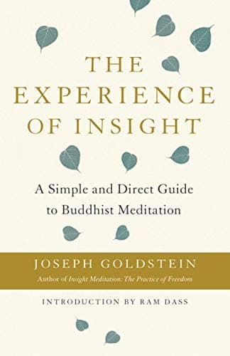Portada de Experience of Insight