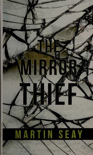 Portada de The mirror thief