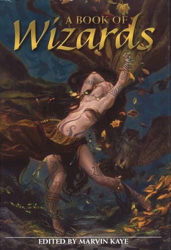 Portada de A Book of Wizards