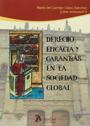 Portada de Derecho, eficacia y garantías en la sociedad global.