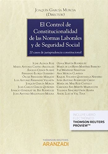 Portada de El control de constitucionalidad de las normas laborales y de seguridad social