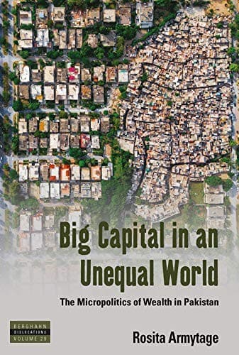 Portada de Big Capital in an Unequal World