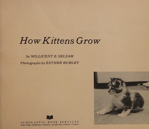 Portada de How kittens grow