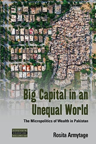 Portada de Big Capital in an Unequal World