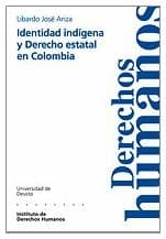 Portada de Identidad indígena y derecho estatal en Colombia