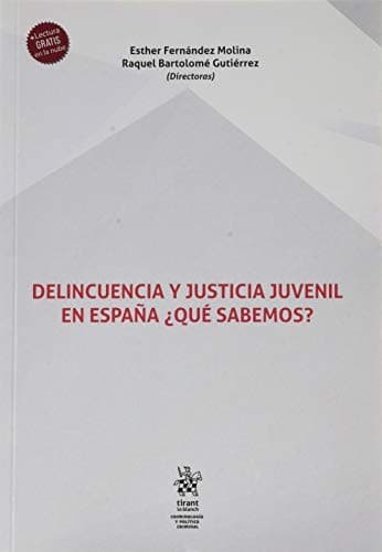Portada de Delincuencia y justicia juvenil en España ¿Qué sabemos?