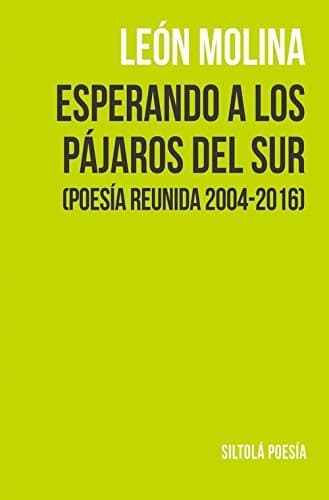 Portada de Esperando a los pájaros del Sur