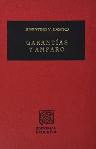 Portada de Garantías y amparo