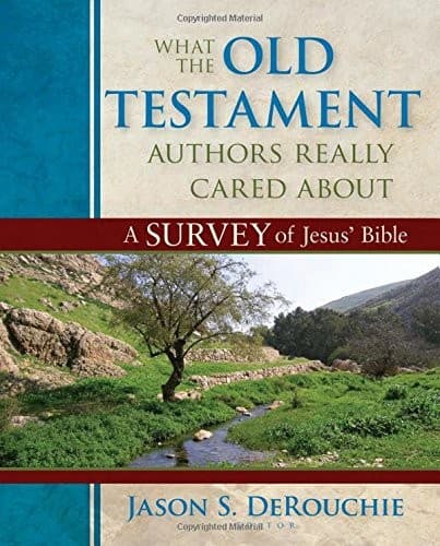 Portada de What the Old Testament authors really cared about
