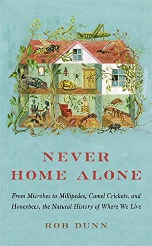 Portada de Never Home Alone