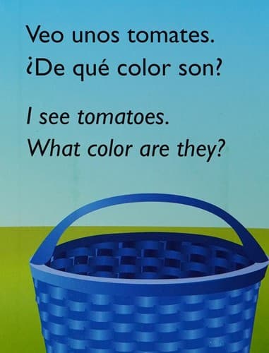 Portada de ¿Qué hay en mi jardín?