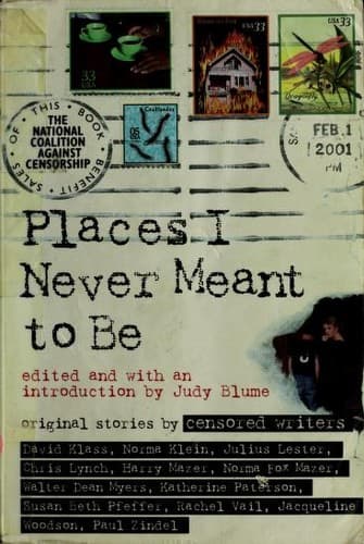 Portada de Places I Never Meant To Be