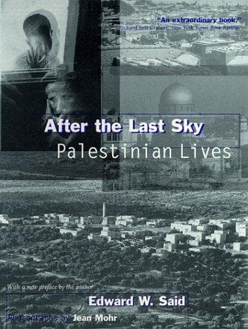 Portada de After the Last Sky